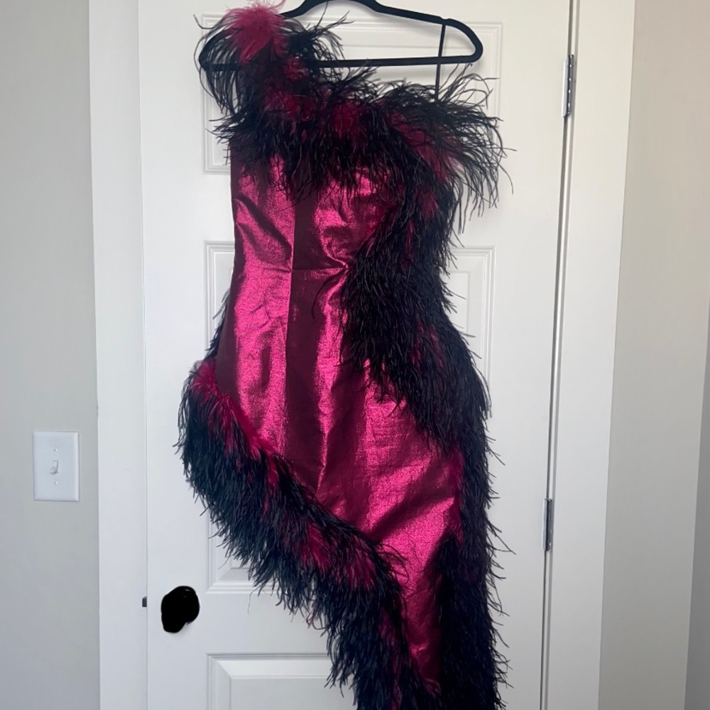 NWOT 16ARLINGTON asymmetric ostrich feather dress